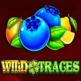 Wild Traces casino game by Amusnet Interactive – featured logo at Robocat Casino